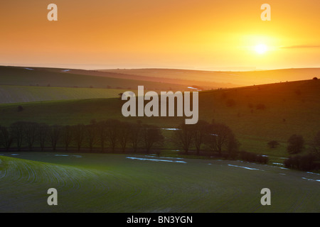 South Downs Sonnenaufgang in der Nähe von Standean unten. Der Rand der Felder herumliegen Schnee noch sichtbar. Stockfoto