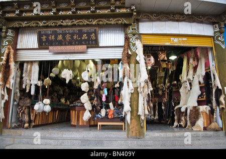 Fell-Shop Verkauf von Fellen von gefährdeten Tierarten einschließlich Tiger Skins Zhongdian Yunnan China Stockfoto