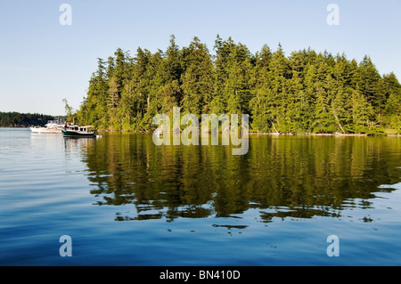 Ansicht der McMicken Island State Park aus dem Wasser im südlichen Puget Sound Fall Inlet. Stockfoto