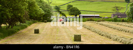 Arbeiten-Traktor im Bereich Herstellung von Grasschnitt Ballen / Heu Stockfoto