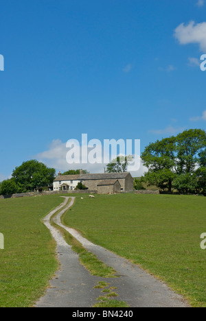 Laithe Butts Farm nahe Clapham, Yorkshire Dales National Park, North Yorkshire, England UK Stockfoto