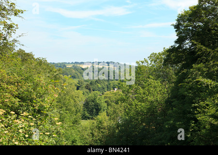 Blick über das Dorf und Hampshire vom oberen Rand der Zick-Zack-Pfad im Selborne Stockfoto