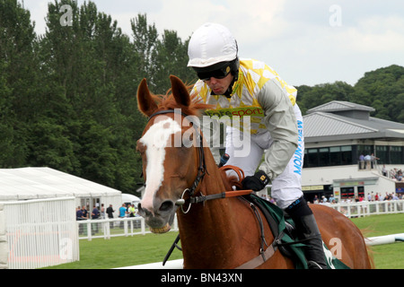 Der neue Perthshire Showcase-Sitzung am Mittwoch, 30. Juni 2010 Perth, Schottland Stockfoto