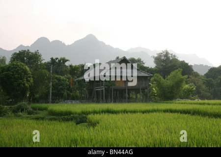 Reisfeld und hölzernen Stelzen-Haus im Mai Chau Tal, Vietnam Stockfoto