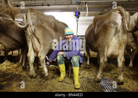 Bauer stellt eine Melkmaschine auf eine Kuh Euter, Jerzens, Österreich Stockfoto