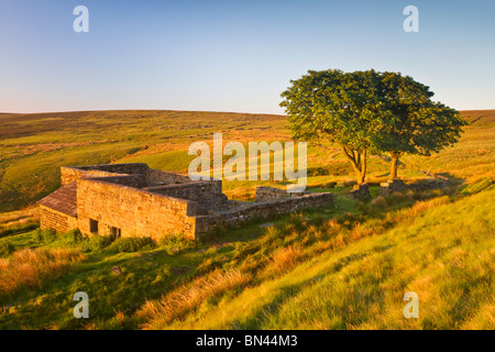 Top Withins auf der Route der Pennine Way, Haworth Moor "Bronte Country", Yorkshire, England Stockfoto