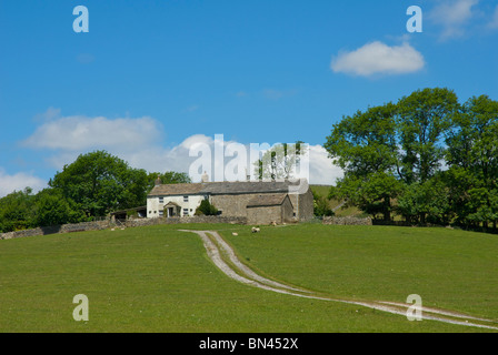 Laithe Butts Farm nahe Clapham, Yorkshire Dales National Park, North Yorkshire, England UK Stockfoto