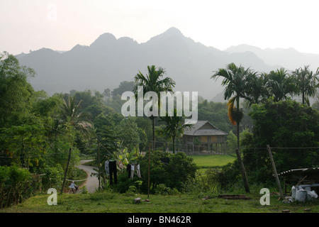 Reisfeld und hölzernen Stelzen-Haus im Mai Chau Tal, Vietnam Stockfoto