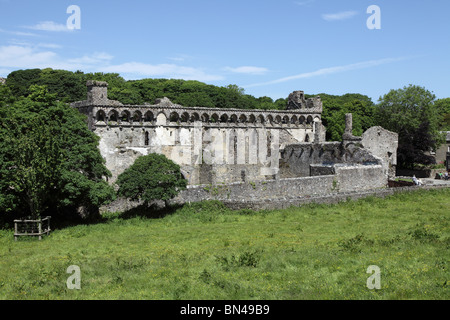 ALTEN BISCHOFSPALAST.  ST. DAVIDS.  PEMBROKESHIRE.  WALES.  UK Stockfoto