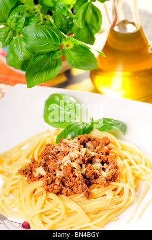 weiße Tomaten Tomaten Tomaten leckere Gewürze Spaghetti Spagetti Sauce Teller Nudeln Parmasen Zwiebel Mozarella geschmolzen schmelzen Mahlzeit Mittagessen Stockfoto