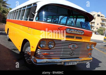 Klassische alte Malteser bus FBY 667 noch im täglichen Einsatz. Busse sind Privatbesitz und laufen auf den Strecken von Familiengruppen organisiert. Stockfoto