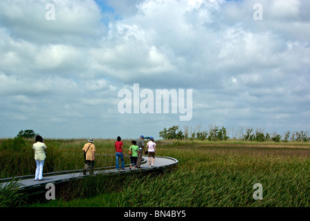 Sabine National Wildlife Refuge Feuchtgebiet Gehweg über Gulf Coast Bayou Marschland Cameron Parish LA Stockfoto