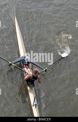 Rudern auf der Themse in Hammersmith, London, Vereinigtes Königreich Stockfoto