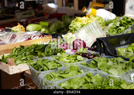 Salatblätter auf dem Markt in der Piazza Delle Erbe, Verona, Italien Stockfoto