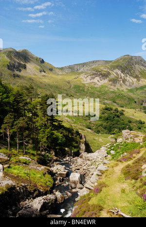 Foel Goch mit der Ogwen unterschreitet (Afon Ogwen) in den Nant Ffrancon Pass, Gwynedd, Nordwales. Stockfoto