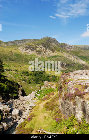 Foel Goch mit der Ogwen unterschreitet (Afon Ogwen) in den Nant Ffrancon Pass, Gwynedd, Nordwales. Stockfoto