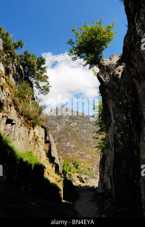 Federzeichnung yr Ole Wen von Tin Can Gulley in Ogwen. Eines der vierzehn 3000 Fuß hohe Gipfeln der Snowdonia und befindet sich in der Carnedds. Stockfoto