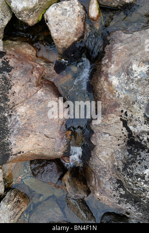 Afon Nant Peris, der Fluss entlang des Bodens von Llanberis durchlaufen Nant Peris, Llyn Peris fließt. Stockfoto