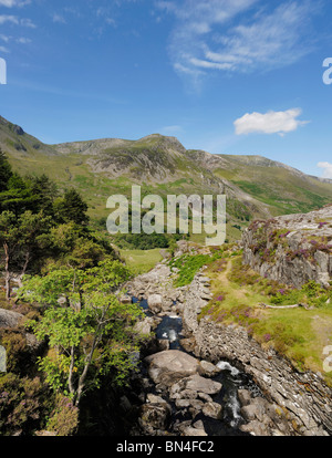 Foel Goch mit der Ogwen unterschreitet (Afon Ogwen) in den Nant Ffrancon Pass, Gwynedd, Nordwales. Stockfoto