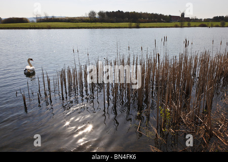 Ansicht des Caldecotte-Sees mit Blick auf die Caldecotte Mühle, Milton Keynes, Buckinghamshire, England Stockfoto