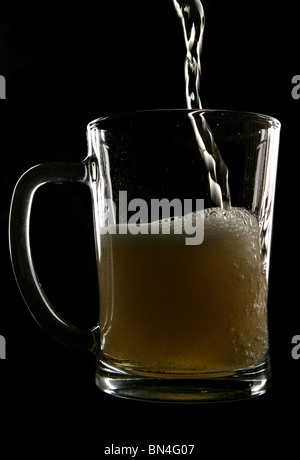 Apfelwein in Pint Glas im studio Stockfoto