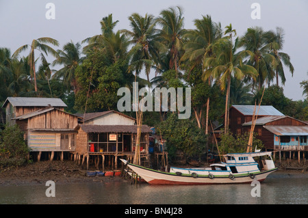 Myanmar. Burma. Kan-Fledermaus-Stadt. Reise mit der öffentlichen Fähre nach Labutta im Ayeryarwadi delta Stockfoto