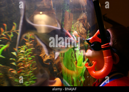 Ein 9 Jahres altes Mädchen tragen einen Schnorchel und Maske schaut die Fische in ihrem Aquarium. Stockfoto