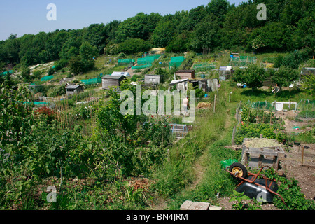 Zuteilung in Brighton, East Sussex Stockfoto