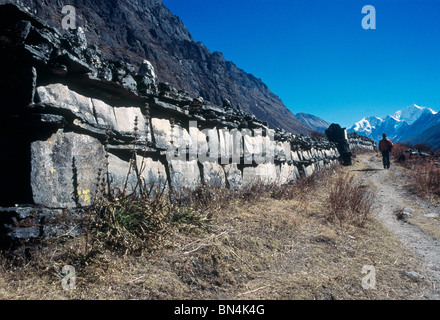 Eines der längsten Mani Gebet Mauern in der Welt in der Nähe von Langtang Dorf im Langtang-Tal; Nepal Stockfoto