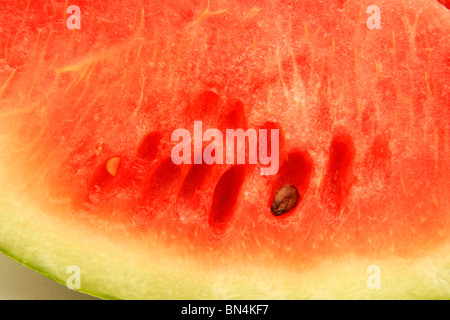 Früchte; Eine Scheibe Wassermelone roten wässrige Fruchtfleisch und einen schwarzen Samen zeigen; Pune;  Maharashtra; Indien Stockfoto