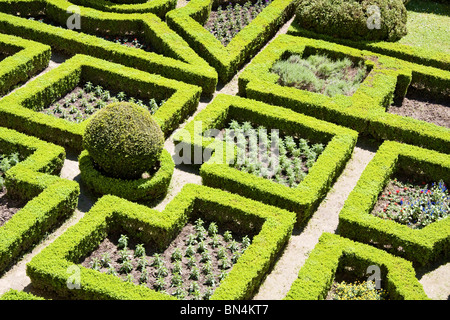 Formaler Garten im Schloss Pieskowa Skala in Polen, nahe Krakau. Stockfoto