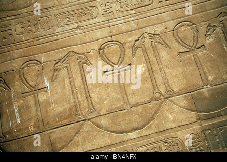 Hieroglyphen und Bas Relief geschnitzt Bilder von Ankh, Edfu Tempel, Ägypten Stockfoto