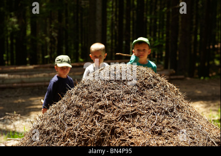 Kinder auf der Suche und Prüfung Ameisenhaufen, Ameisen-Kolonie, Spicak Hill, Zelezna Ruda, NP Sumava, Ceska republika Stockfoto