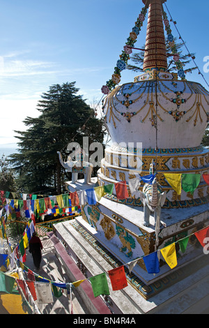 Buddhistische Stupa und Gebet Fahnen. McLeod Ganj (Tibet Regierung im Exil). Dharamsala. Indien Stockfoto