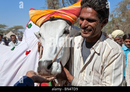 Mann mit seinem Ochsen. Nagaur Viehmarkt. Rajasthan. Indien Stockfoto