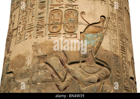 Detail des Schnitzens des Pharao auf einer Spalte, der Tempel des Horus und Sobek, Kom Ombo, Oberägypten Stockfoto