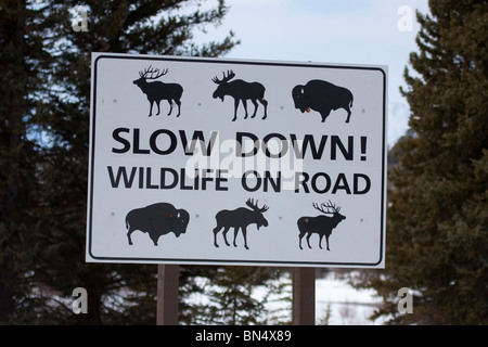 Tierwelt auf Straßenschild verlangsamen Stockfoto