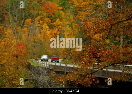 Touristen im Herbst am Great Smoky Mountains National Park, Tennessee, USA. Foto von Darrell Young. Stockfoto