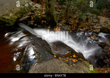 Unteren Laurel verliebt sich in Great Smoky Mountains Nationalpark. Foto von Darrell Young. Stockfoto