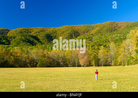 Touristen in Cades Cove in Great Smoky Mountains National Park, Tennessee, USA.  Foto von Darrell Young. Stockfoto