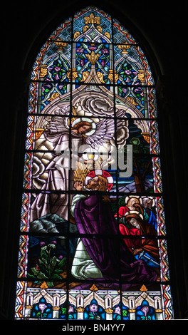 Glasfenster im Basílica del Voto Nacional in Quito, Ecuador Stockfoto