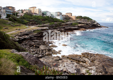 Bondi nach Manly Beach Walk - Sydney, Australien Stockfoto