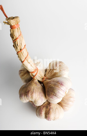 Reihe von Knoblauch Zwiebeln Stockfoto