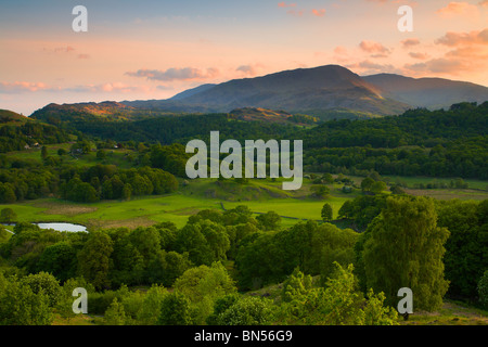 Hügel und Felder in der Nähe von Ambleside, Cumbria bei Sonnenuntergang Stockfoto