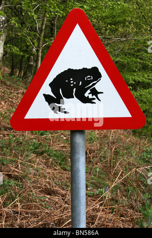 Kröte überquert Zeichen genommen In Cumbria, UK Stockfoto