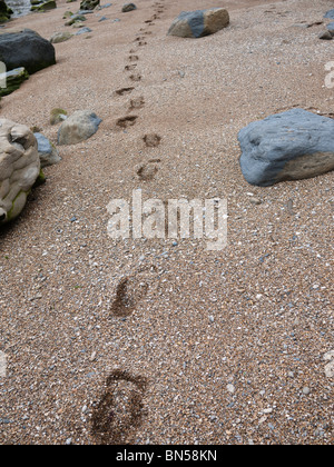 Fußspuren im sand Stockfoto