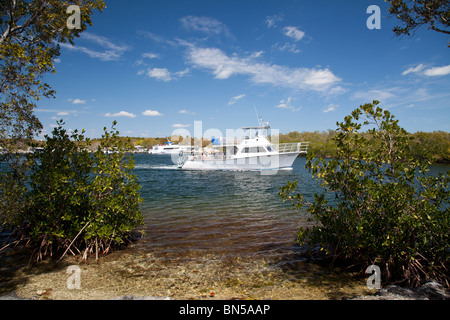 Bootsfahrt die Touristen rund um John Pennekamp State Park in Key Largo, Florida. Stockfoto