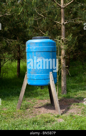 Fasan Futterstation auf einem Schießstand. Stockfoto