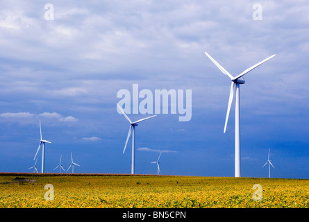 Windturbinen drehen sich anmutig über ein Feld in Schaler, Iowa, und heben erneuerbare Energien und die landschaftliche Schönheit des Mittleren Westens hervor. Stockfoto