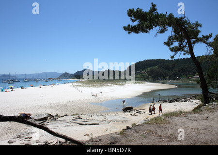 Sand Bar, Illa de Faro, Illas Cies, Vigo, Galicien, Nordspanien, mit Menschen am Strand und Kiefernwald Baum im Vordergrund Stockfoto